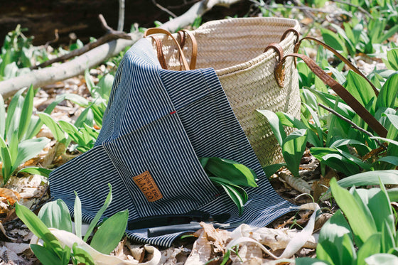 The Lindera Farms Guide to Ramp Foraging