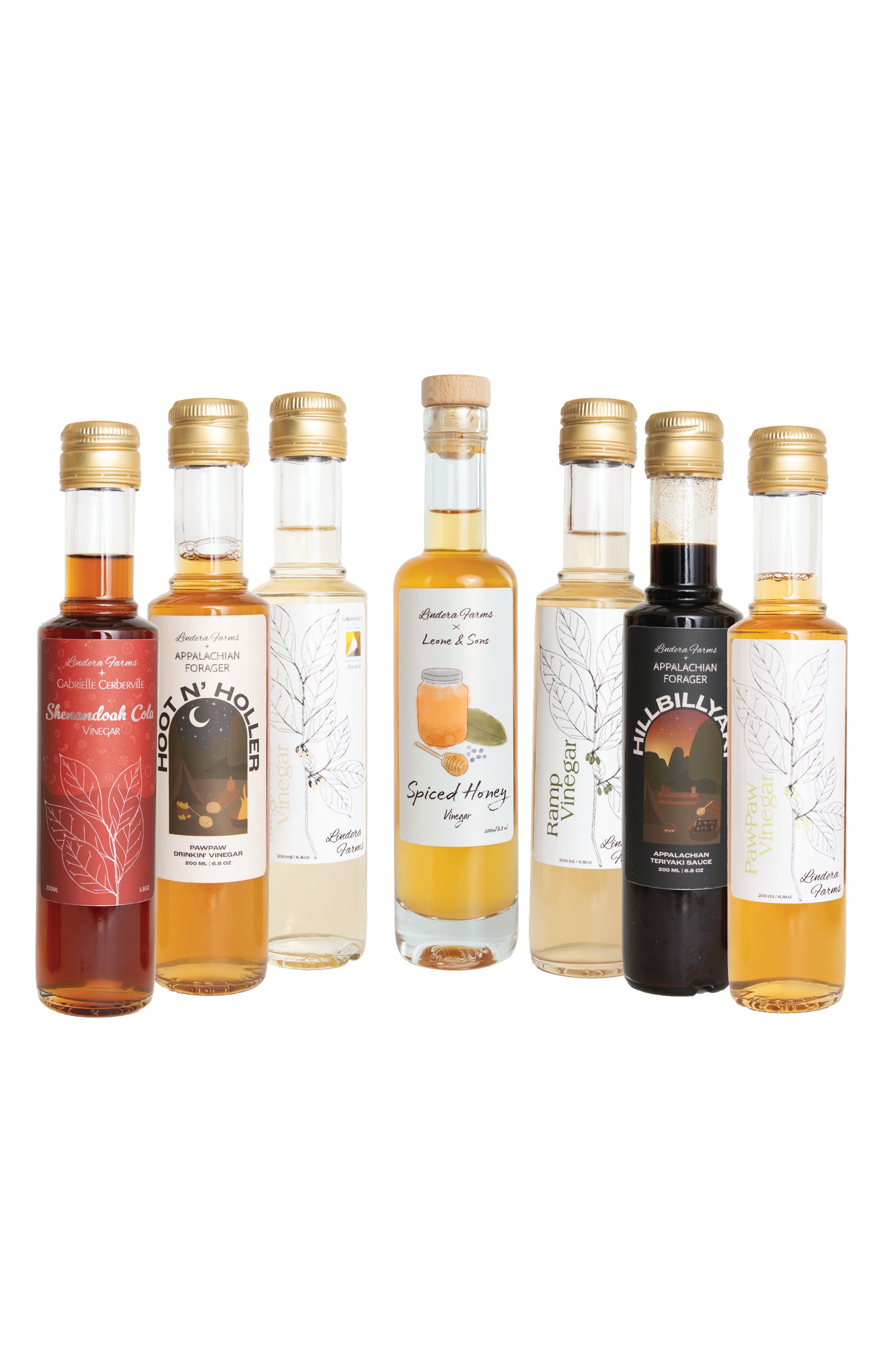 Black Friday Deal -  The Foraged Flavors Set &  FREE Spiced Honey Vinegar